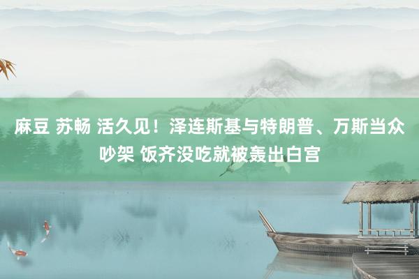 麻豆 苏畅 活久见！泽连斯基与特朗普、万斯当众吵架 饭齐没吃就被轰出白宫