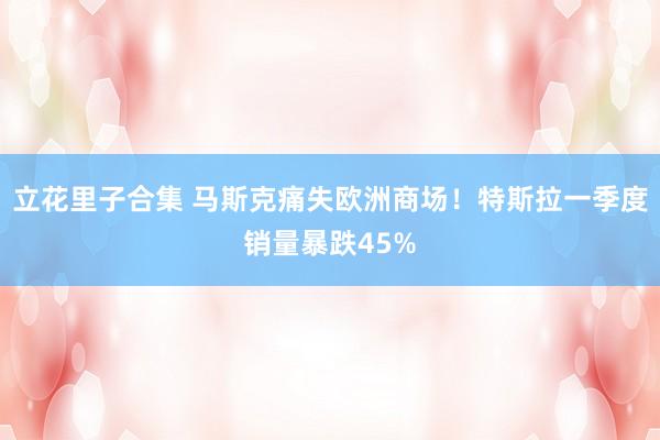 立花里子合集 马斯克痛失欧洲商场！特斯拉一季度销量暴跌45%