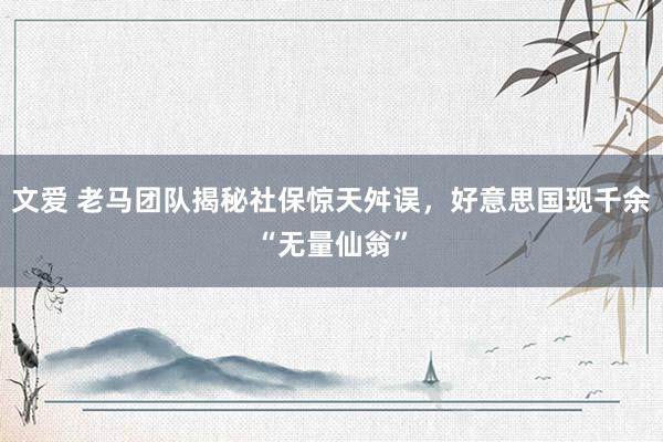 文爱 老马团队揭秘社保惊天舛误，好意思国现千余“无量仙翁”