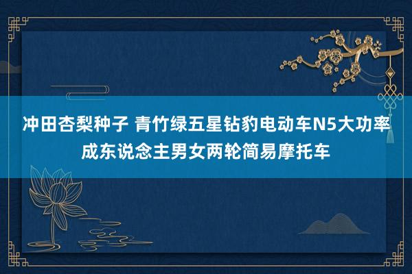 冲田杏梨种子 青竹绿五星钻豹电动车N5大功率成东说念主男女两轮简易摩托车