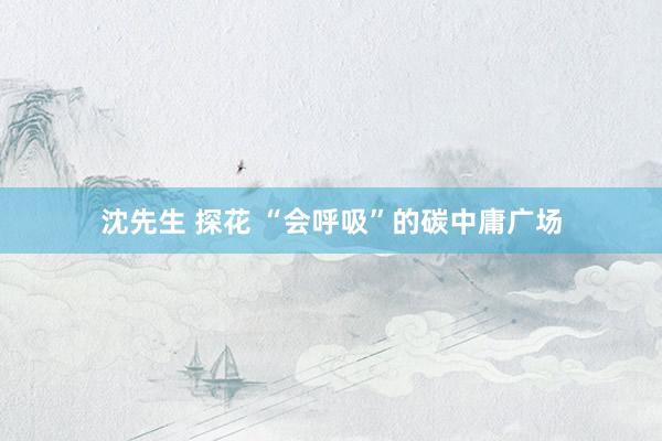 沈先生 探花 “会呼吸”的碳中庸广场