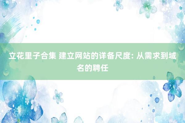 立花里子合集 建立网站的详备尺度: 从需求到域名的聘任