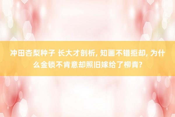 冲田杏梨种子 长大才剖析， 知画不错拒却， 为什么金锁不肯意却照旧嫁给了柳青?