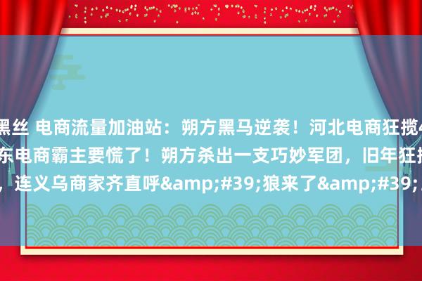 黑丝 电商流量加油站：朔方黑马逆袭！河北电商狂揽4940亿，诀要安在？浙江广东电商霸主要慌了！朔方杀出一支巧妙军团，旧年狂揽4940亿线上订单，连义乌商家齐直呼&#39;狼来了&#39;。这支队伍究竟什么来头？&#39;三件...