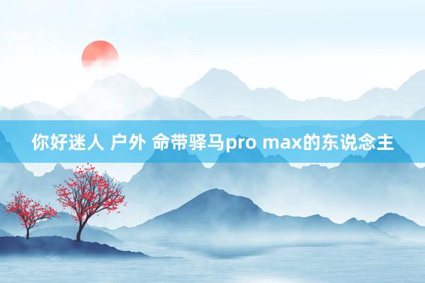 你好迷人 户外 命带驿马pro max的东说念主
