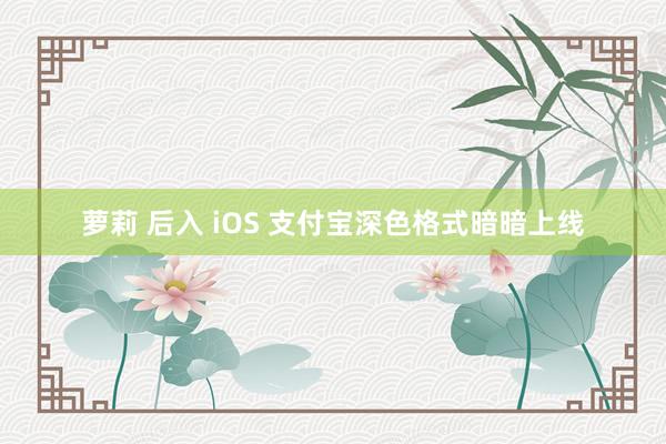 萝莉 后入 iOS 支付宝深色格式暗暗上线