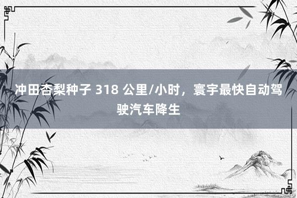 冲田杏梨种子 318 公里/小时，寰宇最快自动驾驶汽车降生