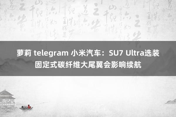 萝莉 telegram 小米汽车：SU7 Ultra选装固定式碳纤维大尾翼会影响续航